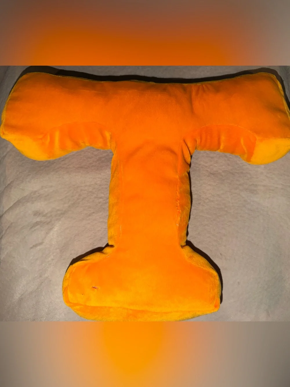 University of Tennessee Pillows